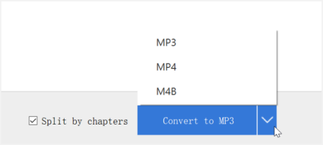 convert audible to mp3 before burning to cd