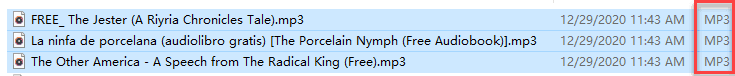 converted audible library in mp3 format