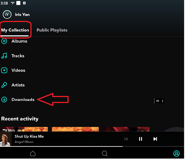 find downloaded tidal