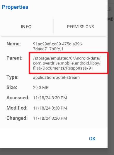 libby downloads storage
